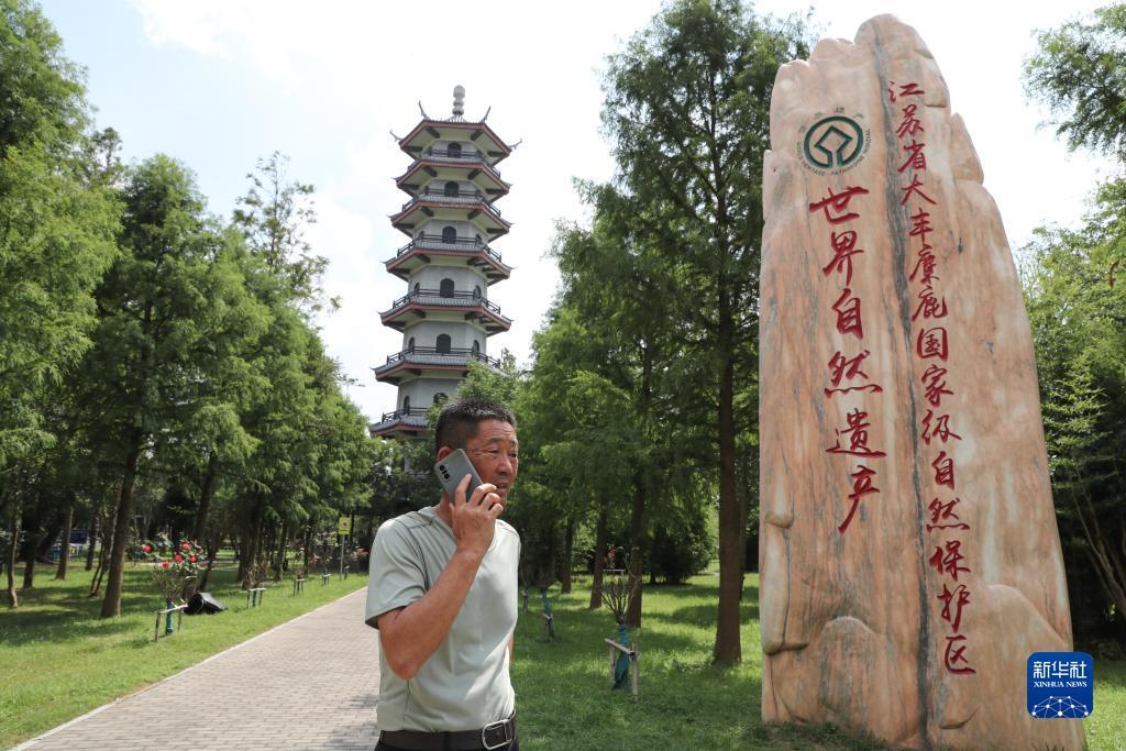 靠近太阳游戏